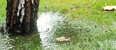 Solving Yard Drainage Problems with Hardscaping Solutions